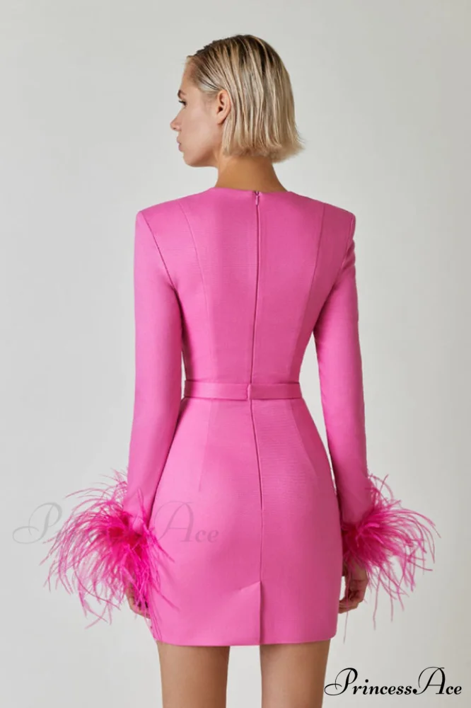 Feather Long Stylish Sleeve Bustier Dress - Image 4