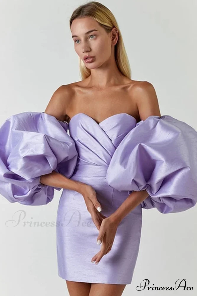 Alexandrine Puff Stylish Sleeve Mini Dress - Image 7