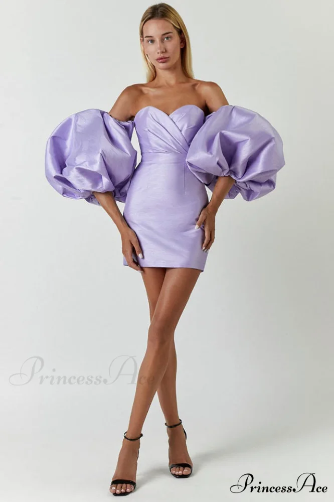 Alexandrine Puff Stylish Sleeve Mini Dress - Image 9