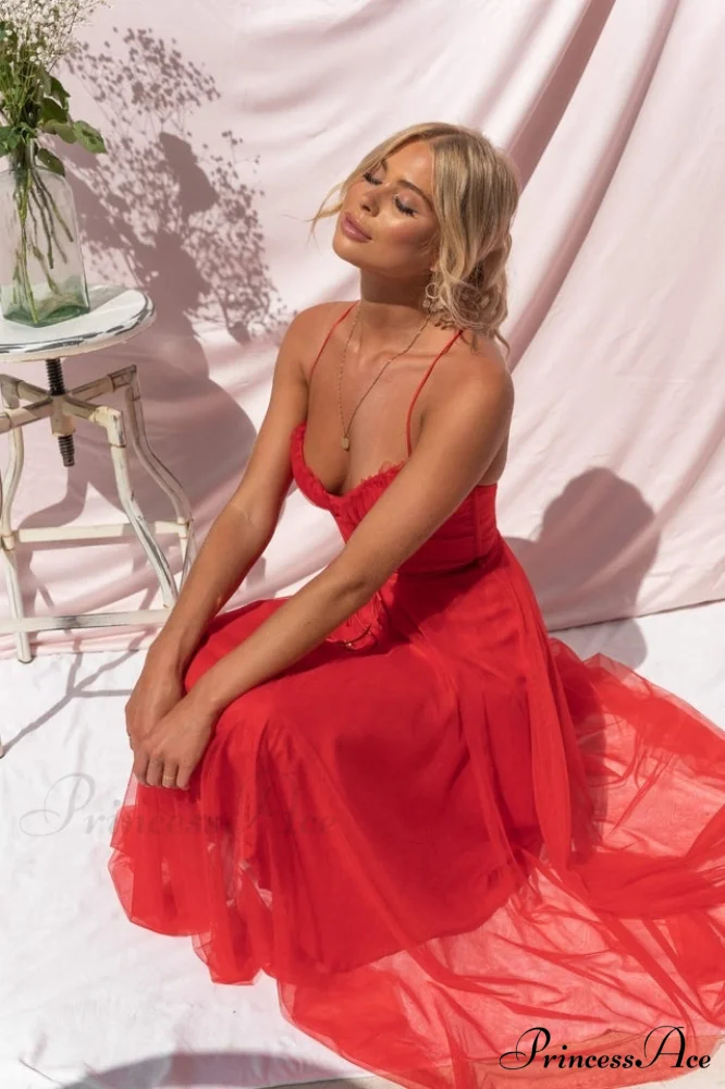 Cindy Tulle Stylish Midi Dress - Image 21