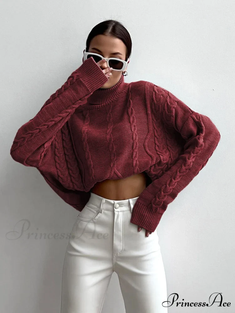 Cable Knit Graceful Turtleneck Oversized Sweater - Image 7
