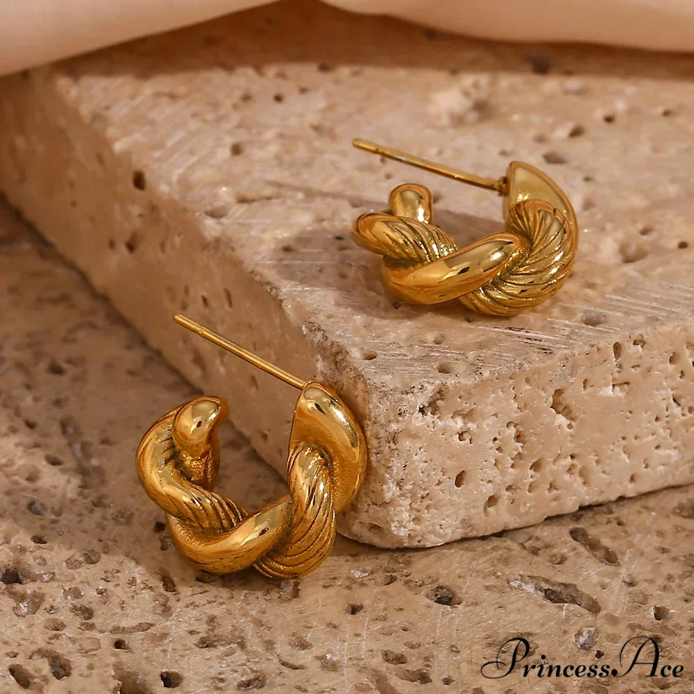 NINA Elegant EARRINGS - Image 2