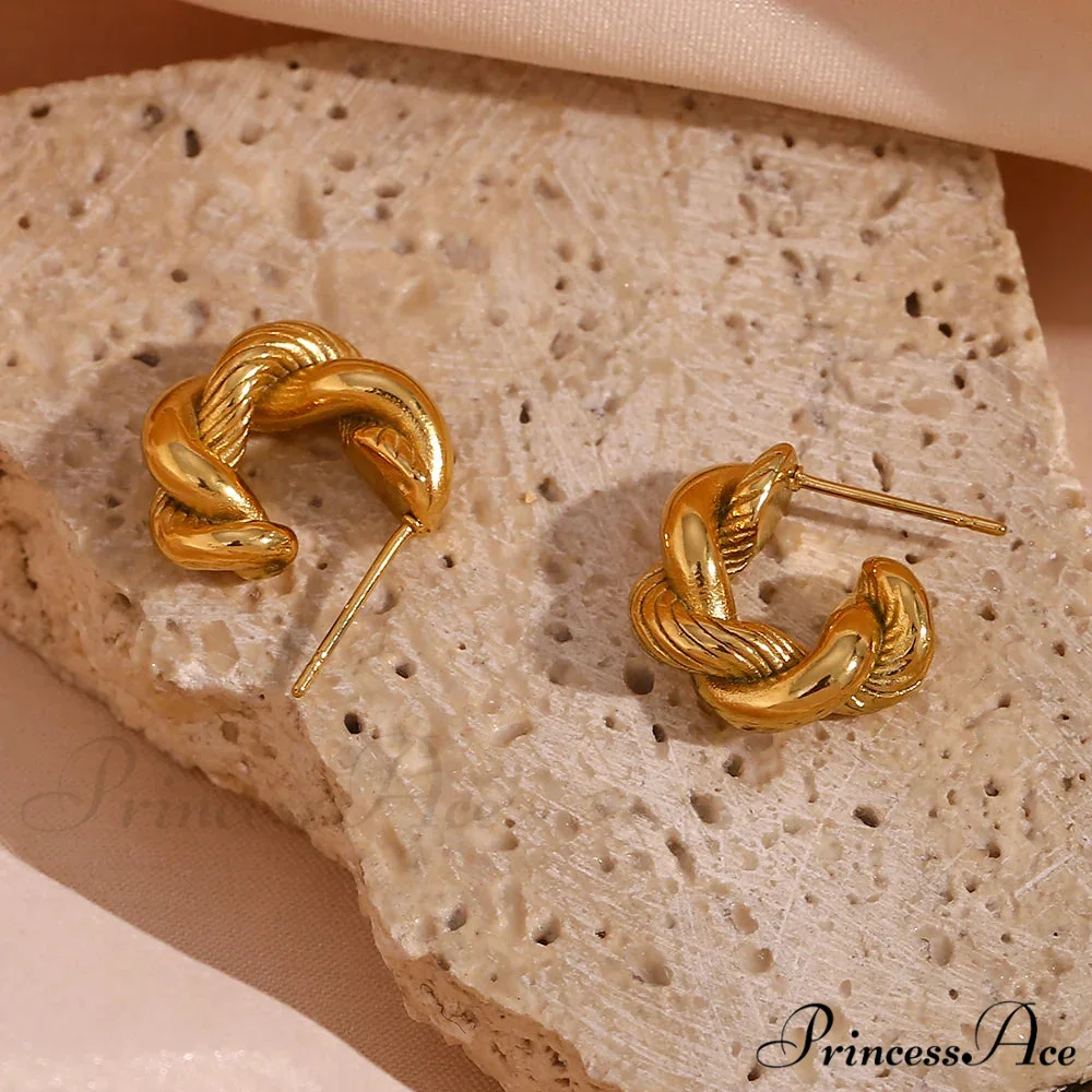 NINA Elegant EARRINGS - Image 5