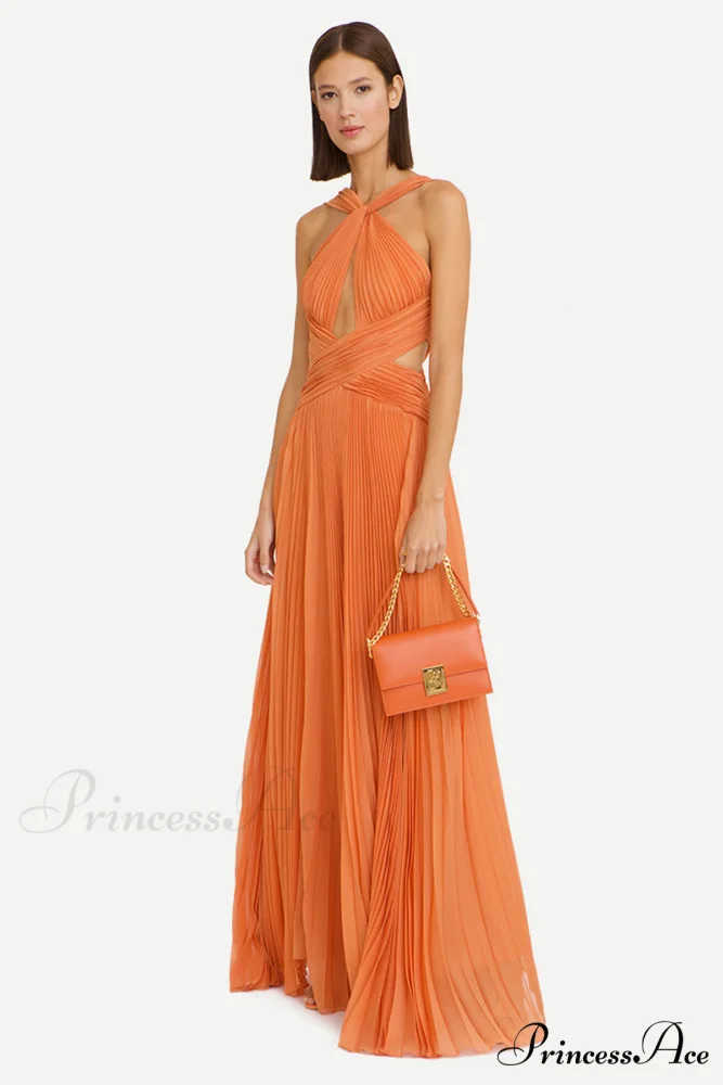 Arabella Chiffon Graceful Backless Maxi Dress - Image 3