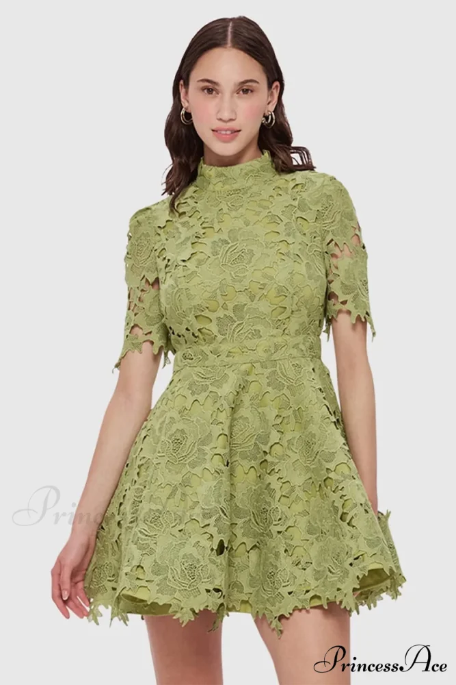 Samira Lace Graceful Mini Dress - Image 3