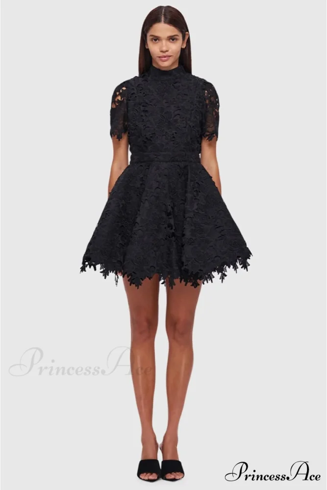 Samira Lace Graceful Mini Dress - Image 5