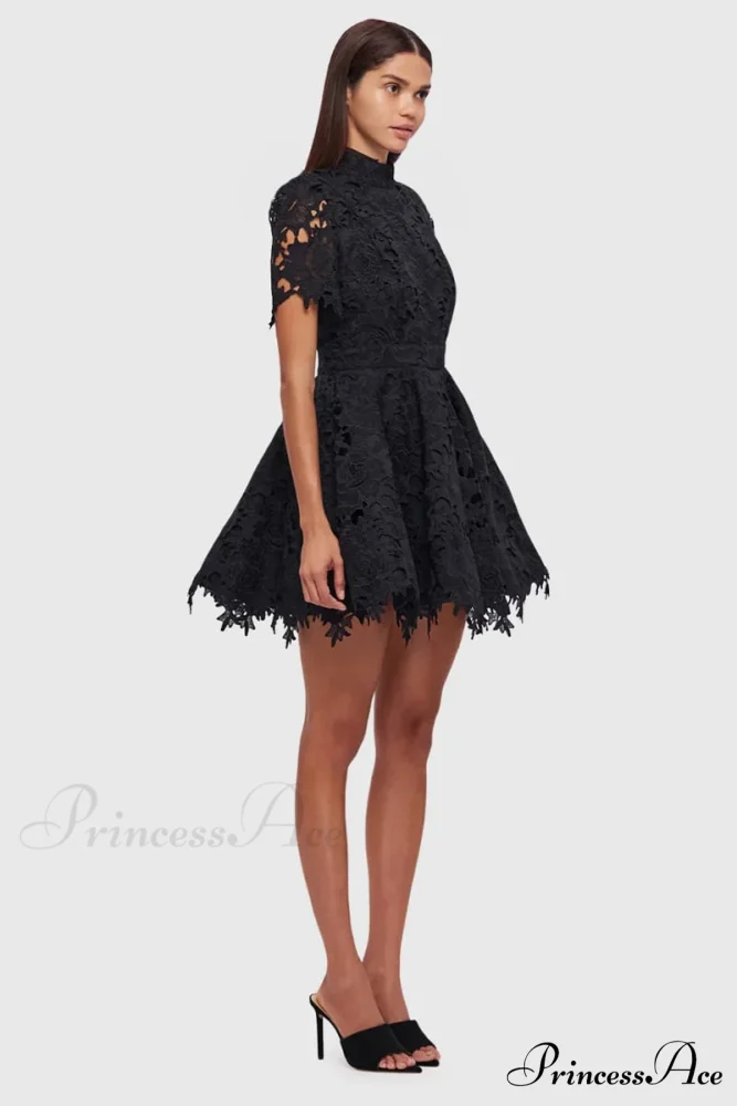 Samira Lace Graceful Mini Dress - Image 6
