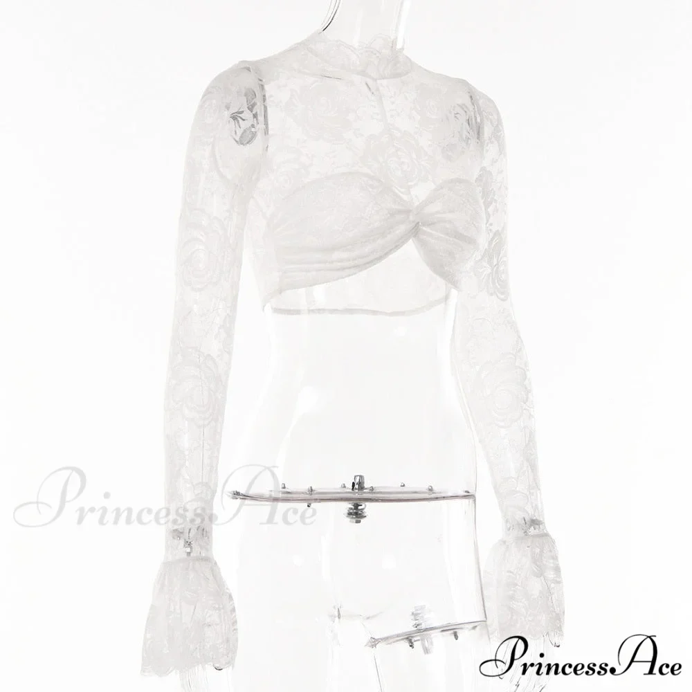 Long Sleeve Lace Charming Mesh Crop Top - Image 10