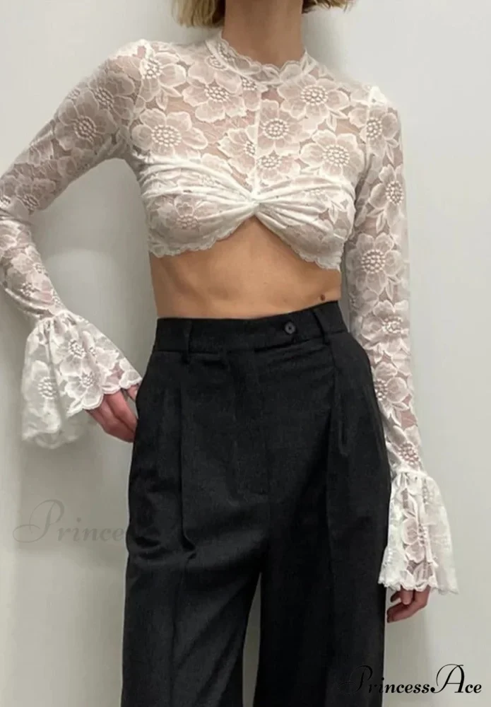 Long Sleeve Lace Charming Mesh Crop Top - Image 2