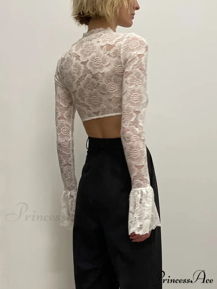 Long Sleeve Lace Charming Mesh Crop Top - Image 3