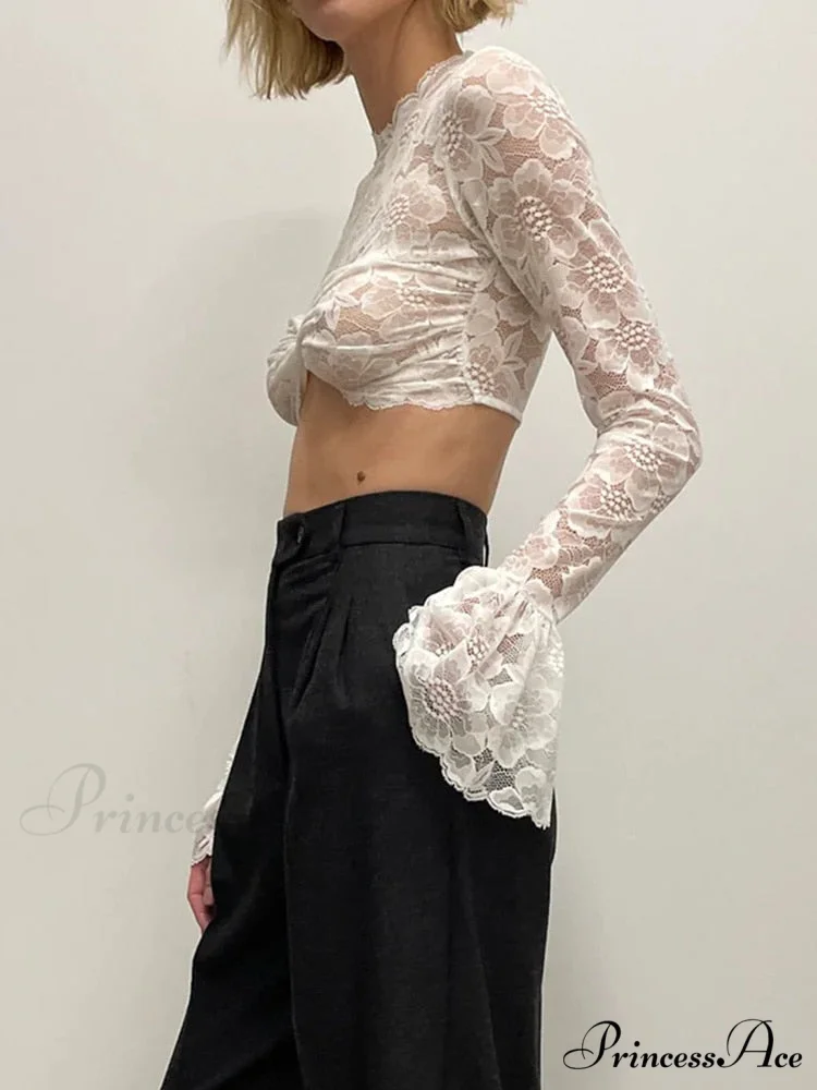 Long Sleeve Lace Charming Mesh Crop Top - Image 6