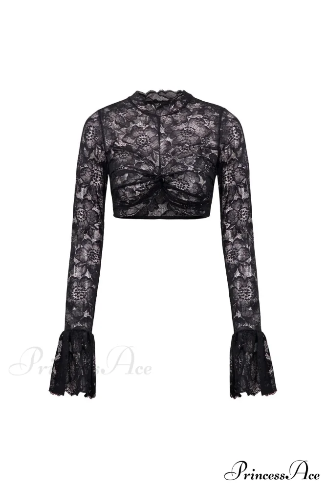 Long Sleeve Lace Charming Mesh Crop Top - Image 7
