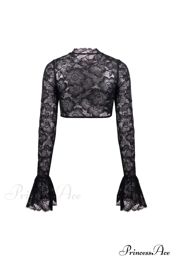 Long Sleeve Lace Charming Mesh Crop Top - Image 8