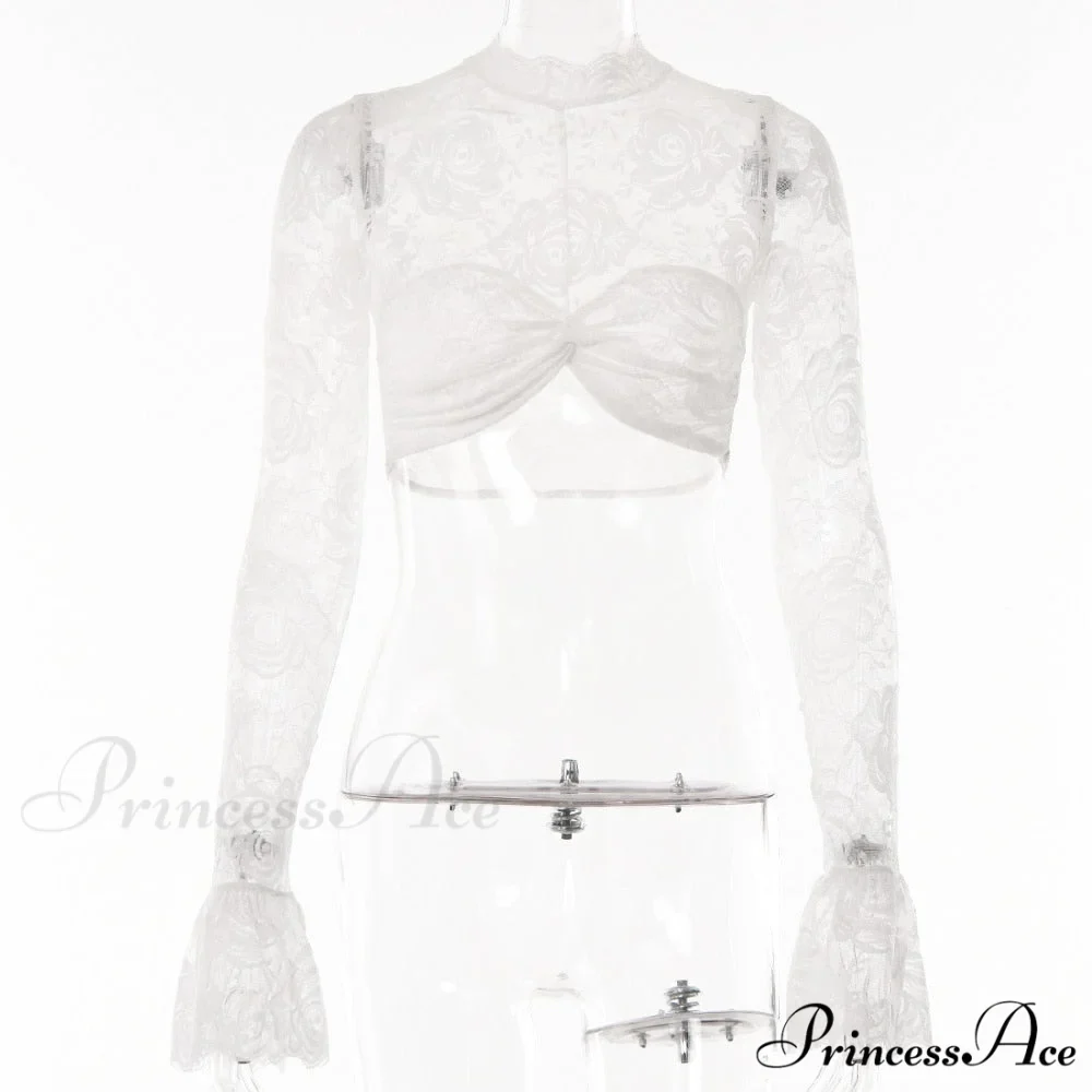 Long Sleeve Lace Charming Mesh Crop Top - Image 9