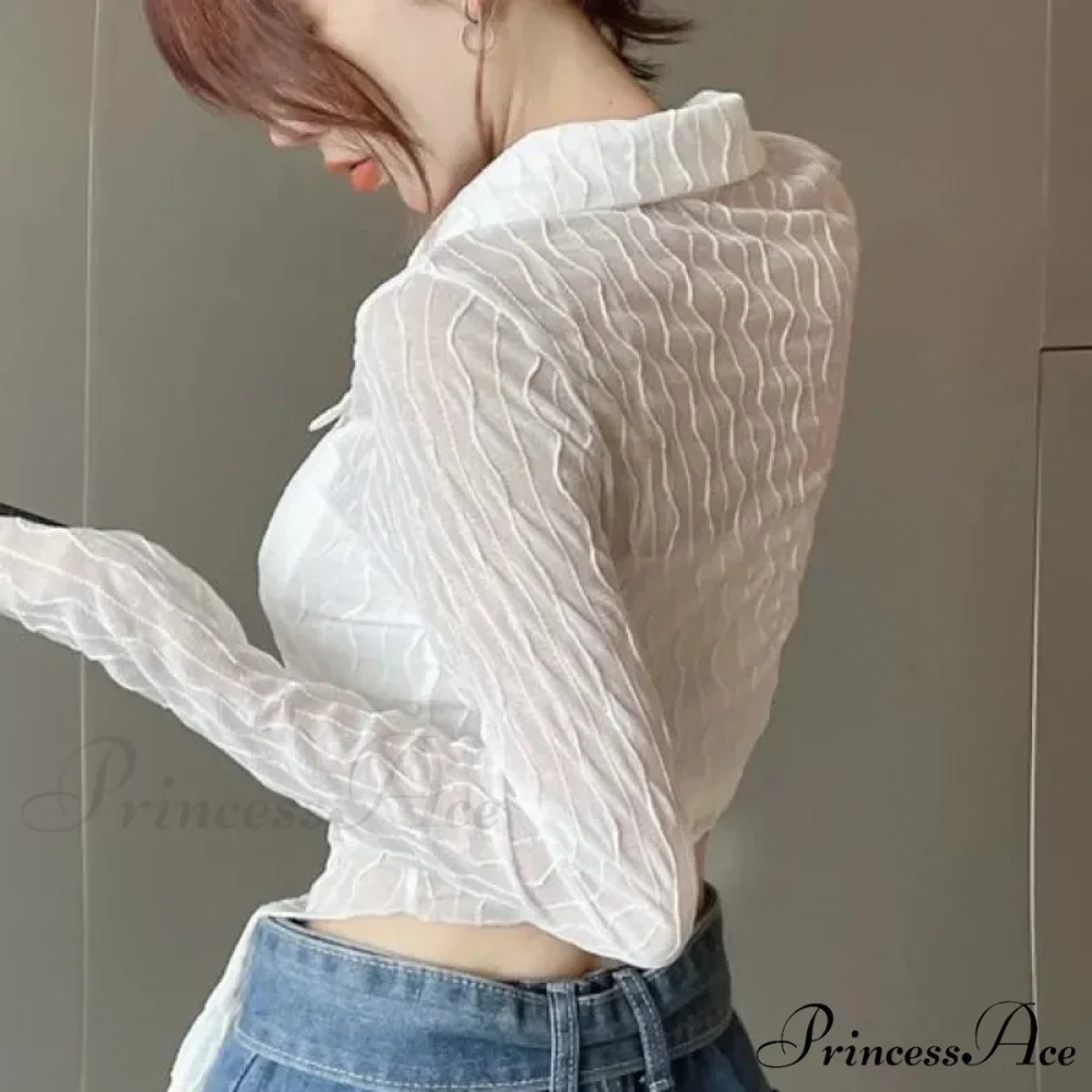 Transparent Long Sleeve Fold-down Collar Shirt - Image 3