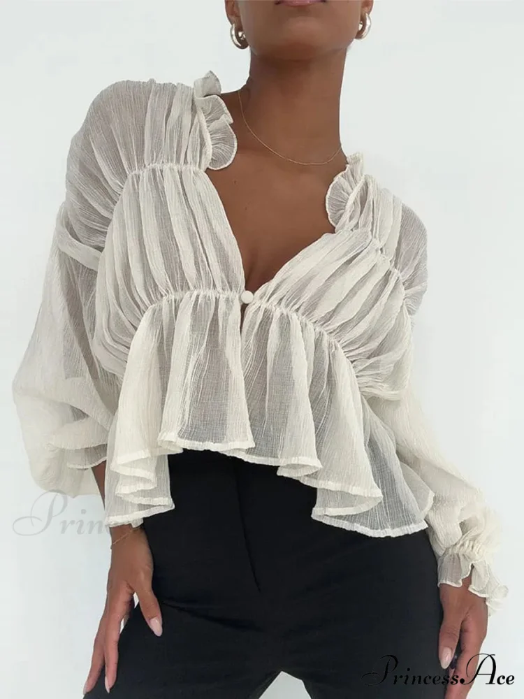 Vintage Transparent Mesh Lantern Sleeve Top - Image 2