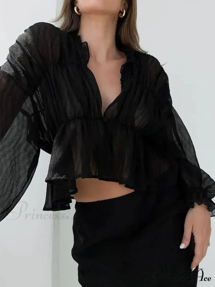 Vintage Transparent Mesh Lantern Sleeve Top - Image 3