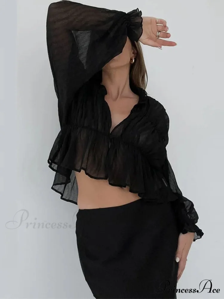 Vintage Transparent Mesh Lantern Sleeve Top - Image 4