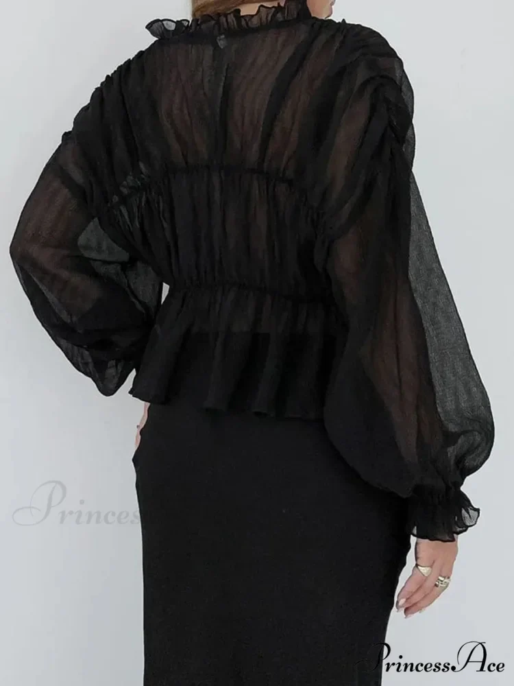 Vintage Transparent Mesh Lantern Sleeve Top - Image 5